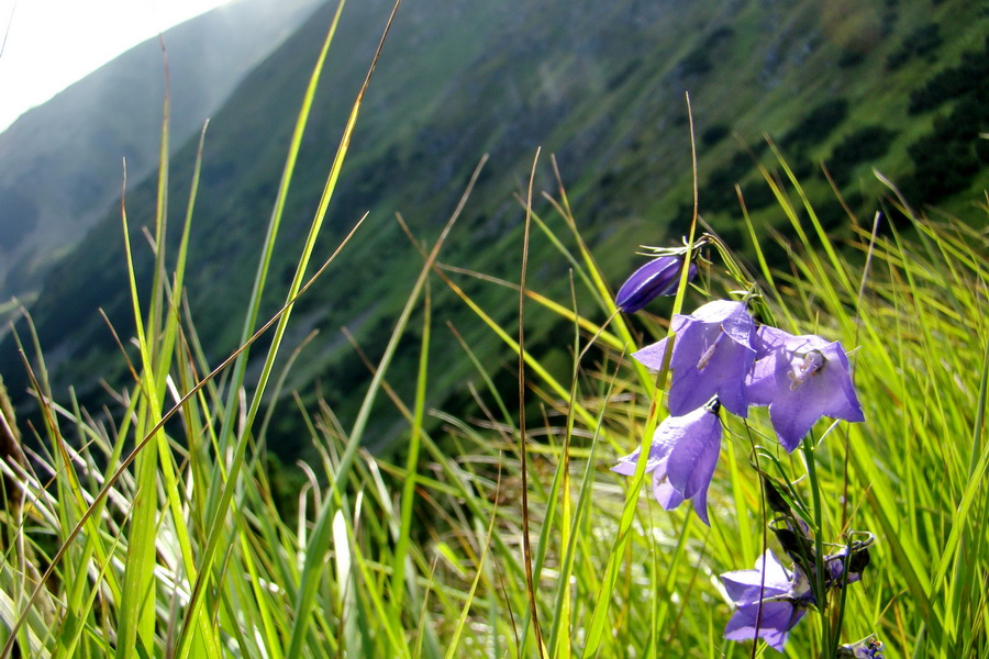 Skalka z Jasnej (Nízke Tatry)