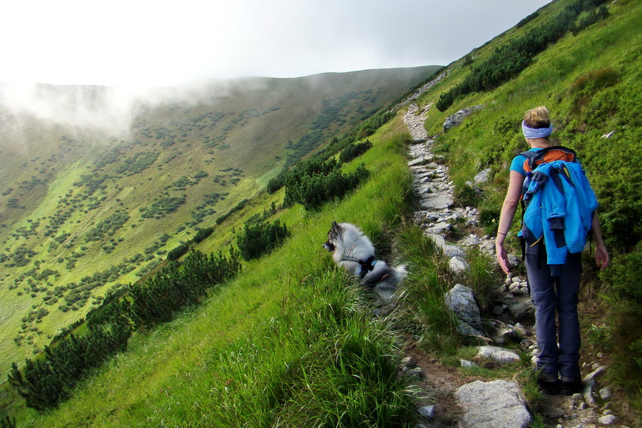 Skalka z Jasnej (Nízke Tatry)