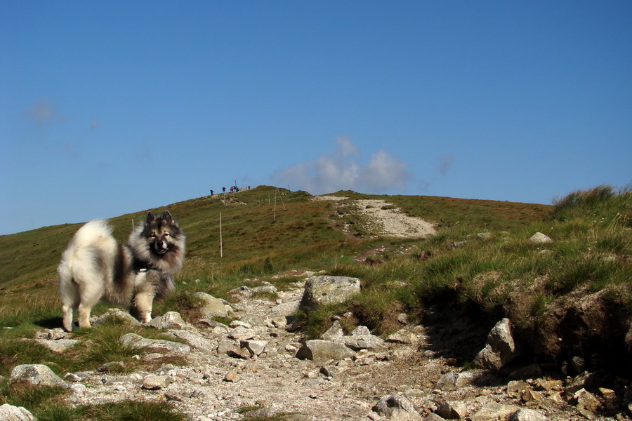 Skalka z Jasnej (Nízke Tatry)