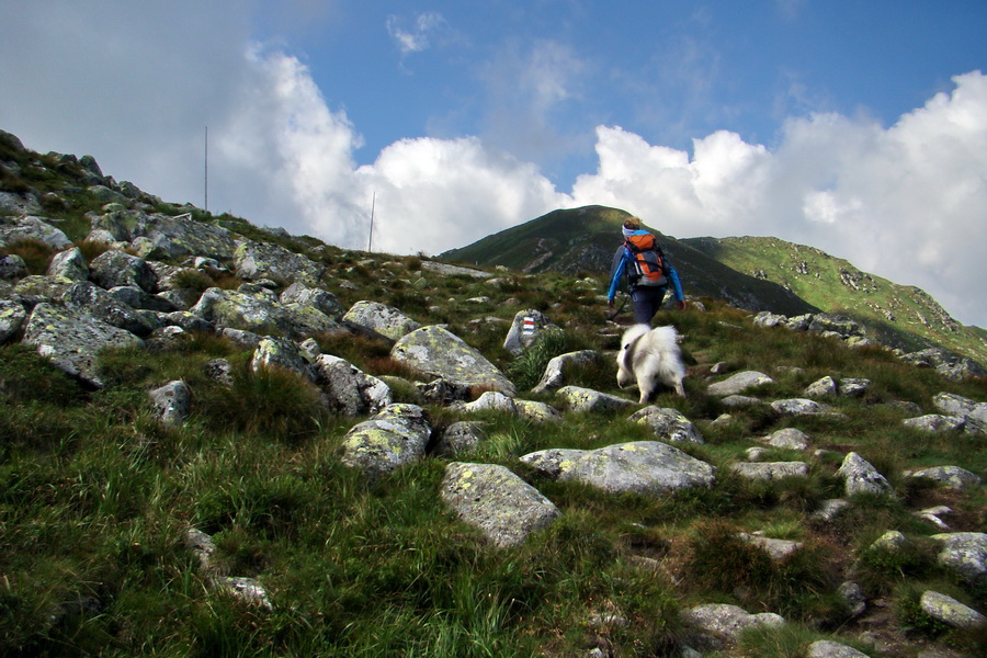 Skalka z Jasnej (Nízke Tatry)