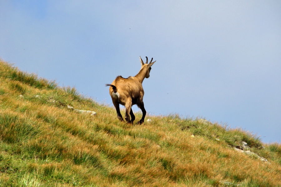 Skalka z Jasnej (Nízke Tatry)