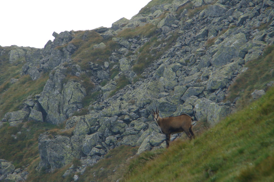 Skalka z Jasnej (Nízke Tatry)