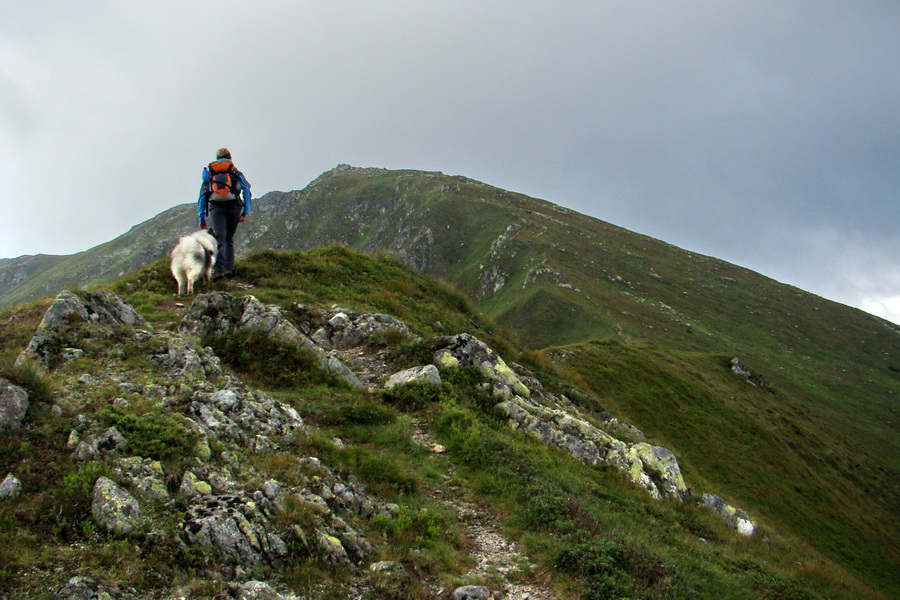 Skalka z Jasnej (Nízke Tatry)