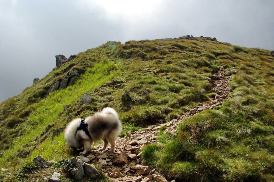 Skalka z Jasnej (Nízke Tatry)