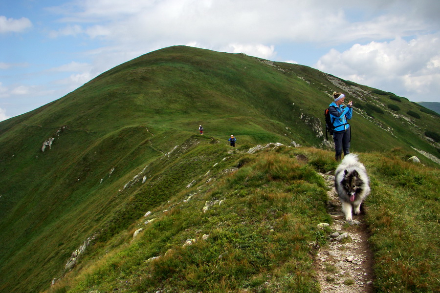 Skalka z Jasnej (Nízke Tatry)