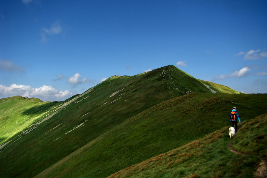 Skalka z Jasnej (Nízke Tatry)