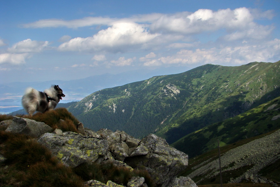 Skalka z Jasnej (Nízke Tatry)