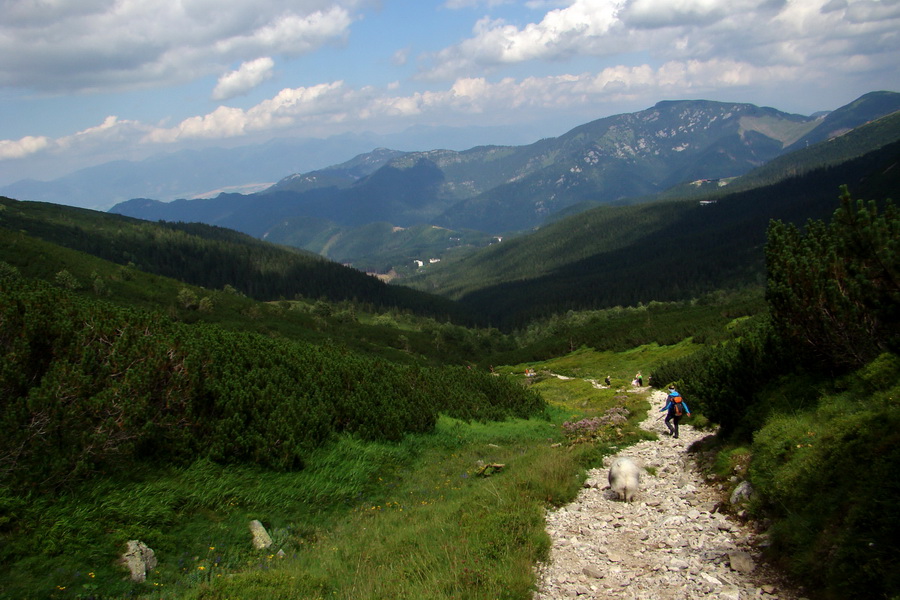 Skalka z Jasnej (Nízke Tatry)