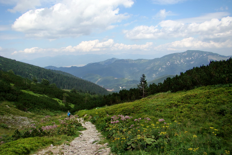 Skalka z Jasnej (Nízke Tatry)