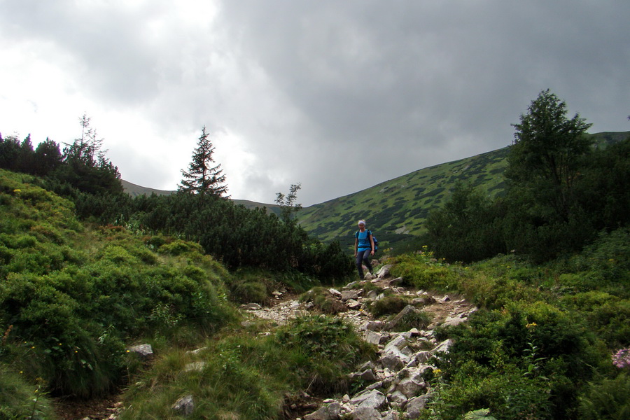 Skalka z Jasnej (Nízke Tatry)