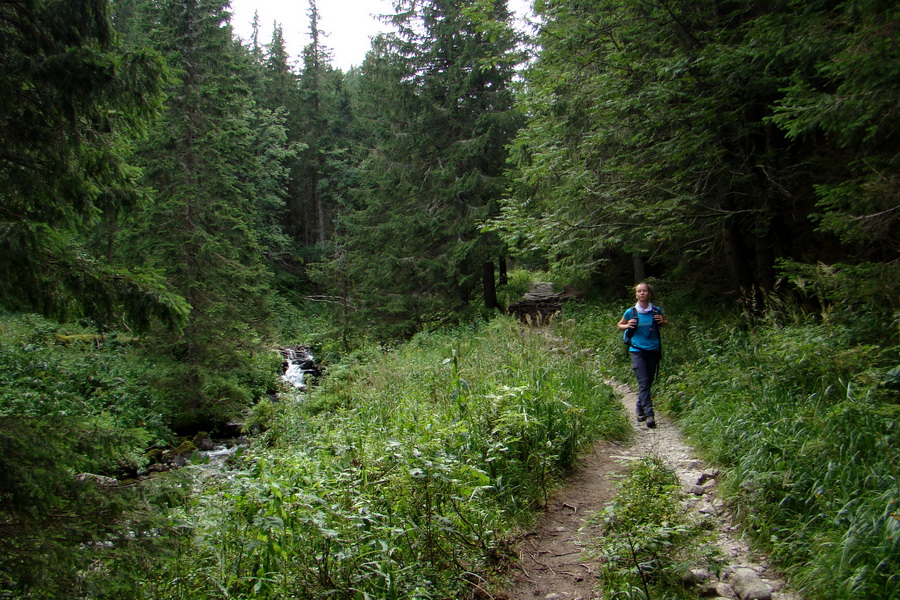 Skalka z Jasnej (Nízke Tatry)