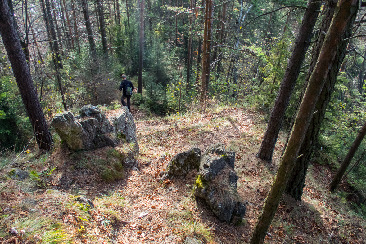 Sľubica z Braniska (Branisko)