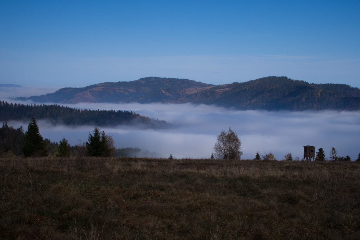 Sľubica z Braniska (Branisko)