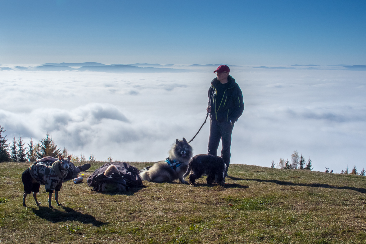 Sľubica z Braniska (Branisko)