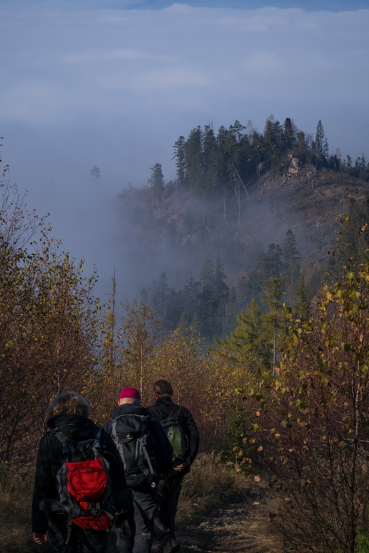 Sľubica z Braniska (Branisko)