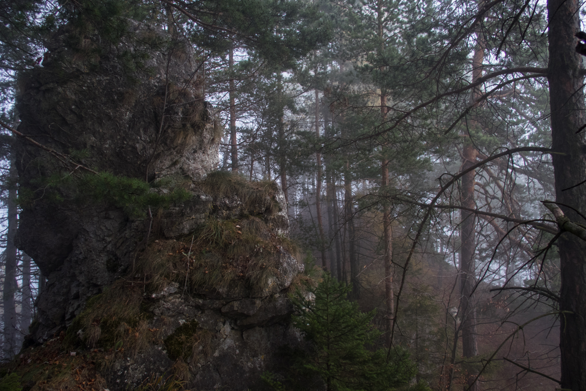 Sľubica z Braniska (Branisko)