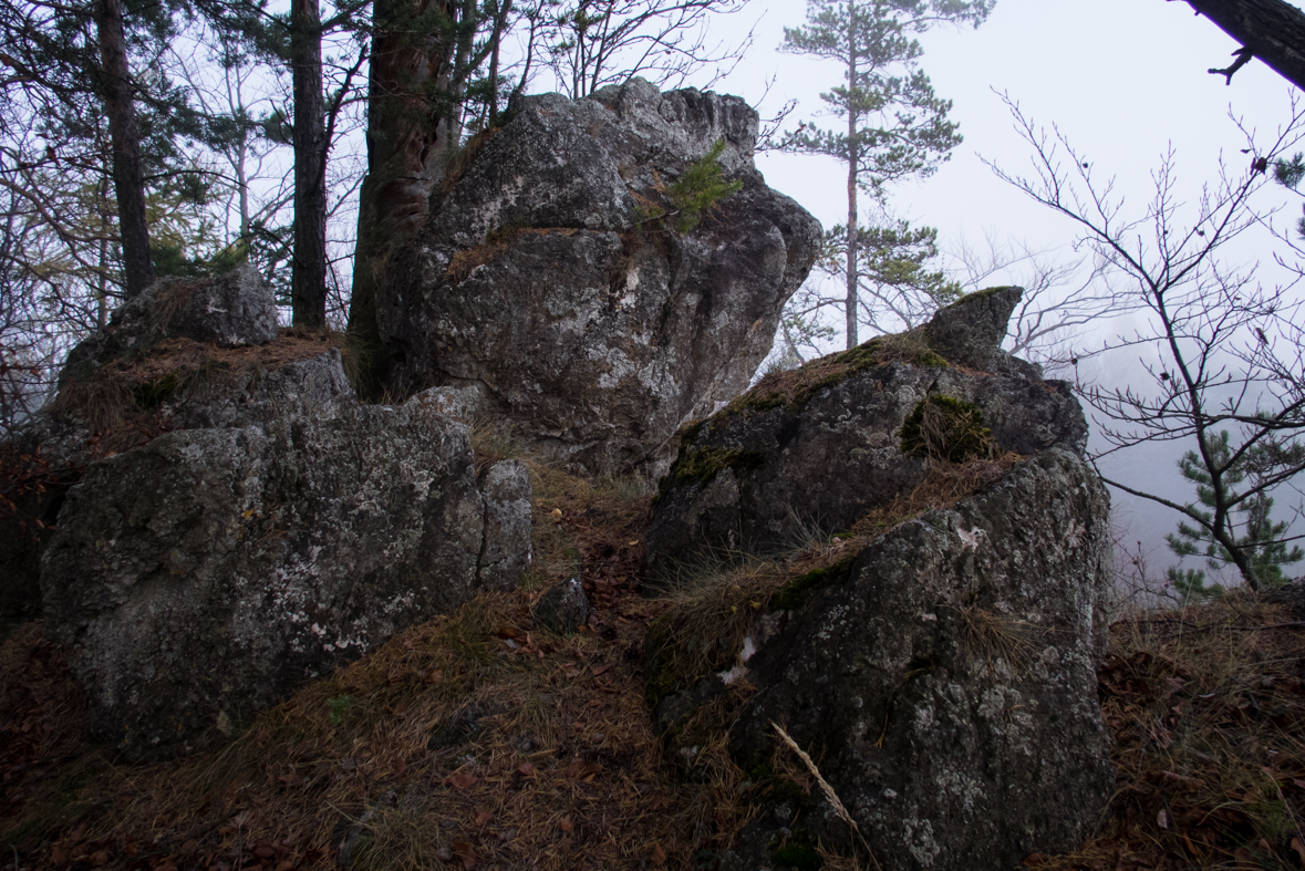 Sľubica z Braniska (Branisko)