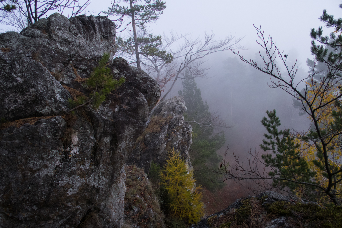 Sľubica z Braniska (Branisko)