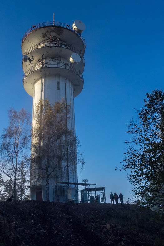 Sľubica z Braniska (Branisko)