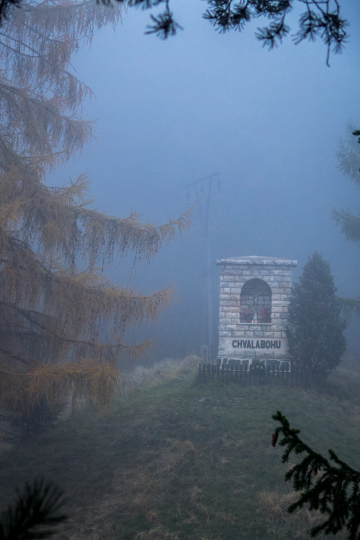 Sľubica z Braniska (Branisko)