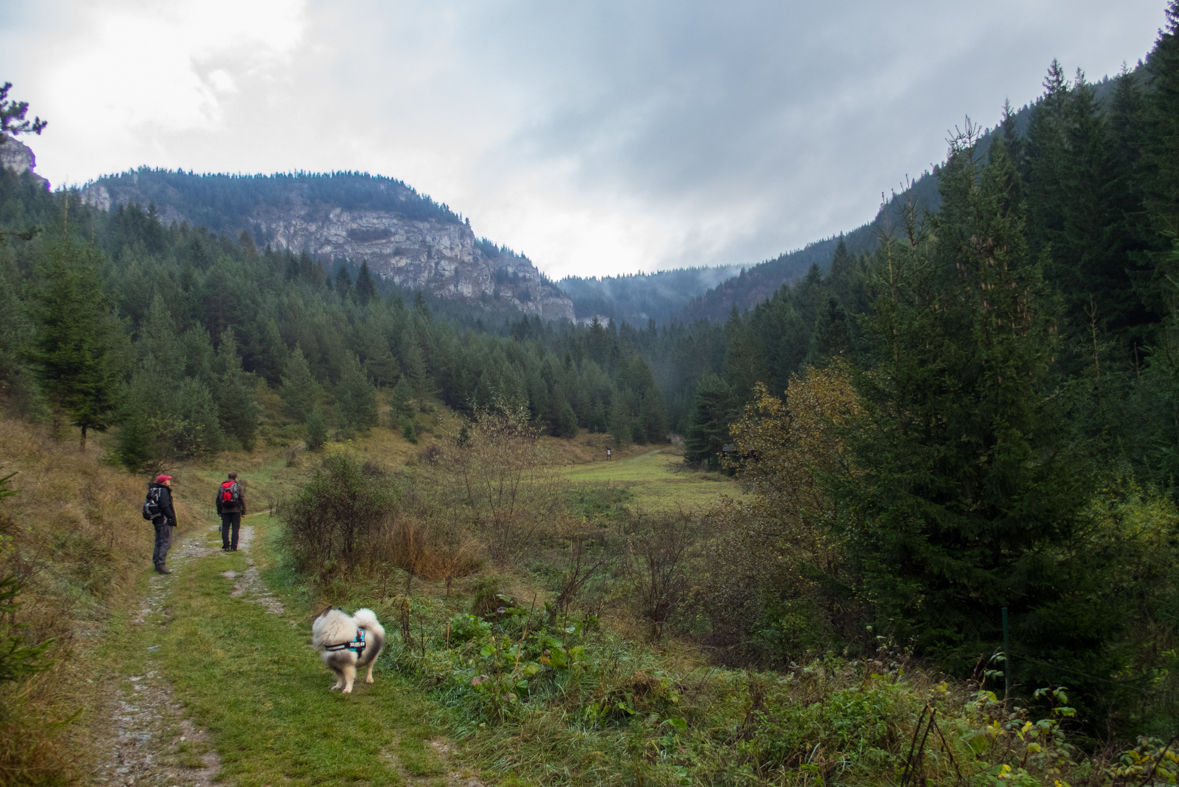 Veľký Choč z Valaskej Dubovej (Chočské vrchy)