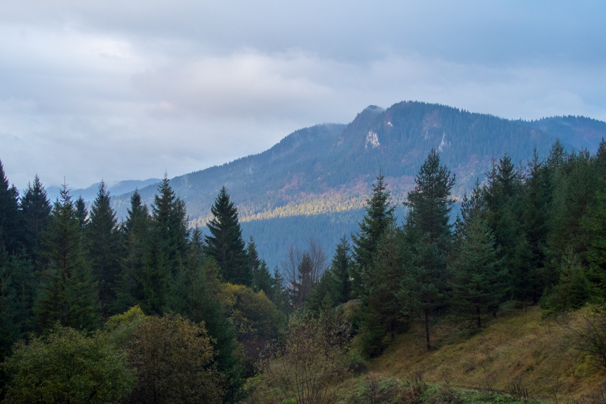 Veľký Choč z Valaskej Dubovej (Chočské vrchy)