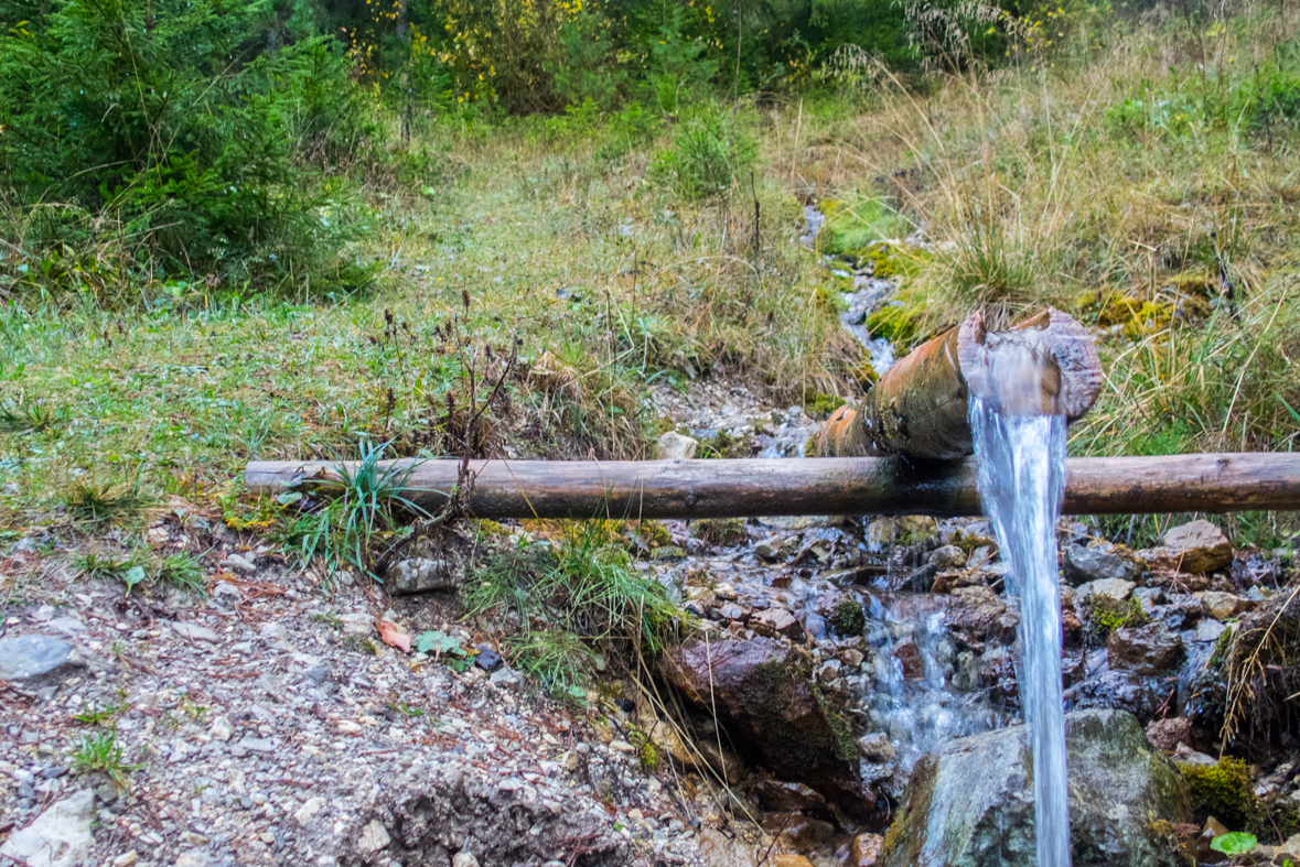 Veľký Choč z Valaskej Dubovej (Chočské vrchy)