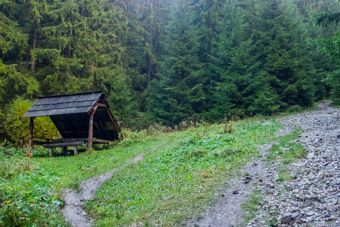 Veľký Choč z Valaskej Dubovej (Chočské vrchy)