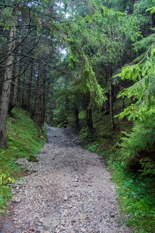 Veľký Choč z Valaskej Dubovej (Chočské vrchy)