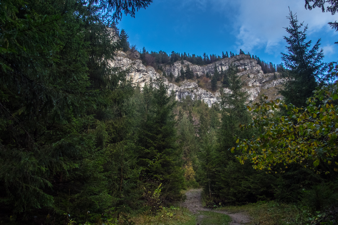 Veľký Choč z Valaskej Dubovej (Chočské vrchy)