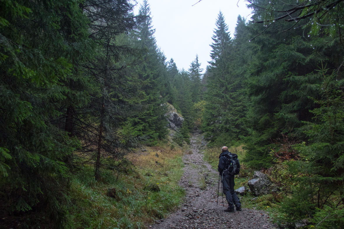 Veľký Choč z Valaskej Dubovej (Chočské vrchy)