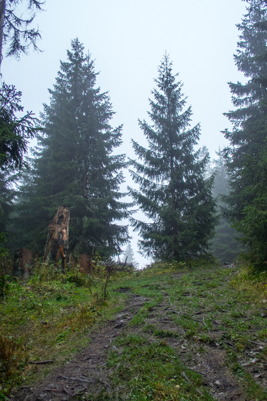 Veľký Choč z Valaskej Dubovej (Chočské vrchy)