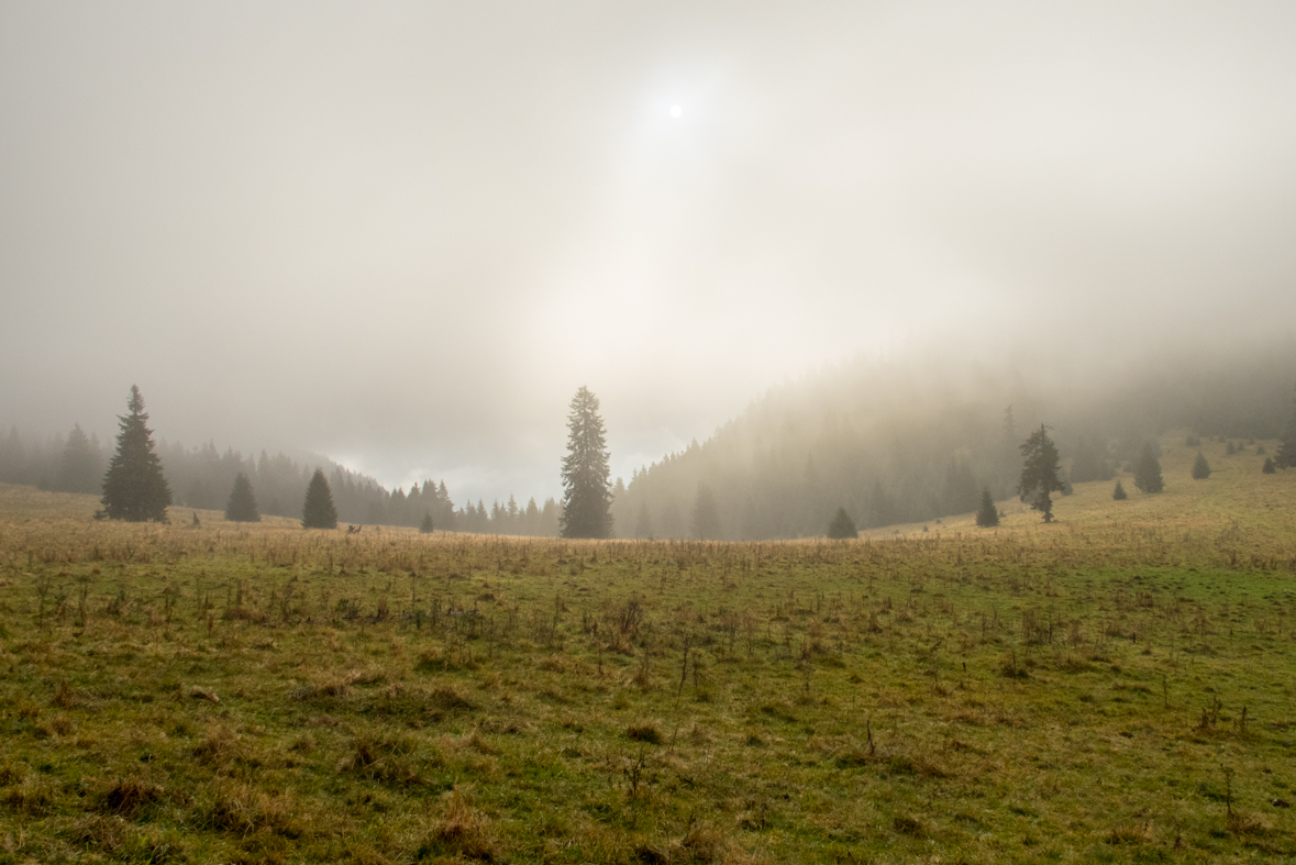 Veľký Choč z Valaskej Dubovej (Chočské vrchy)