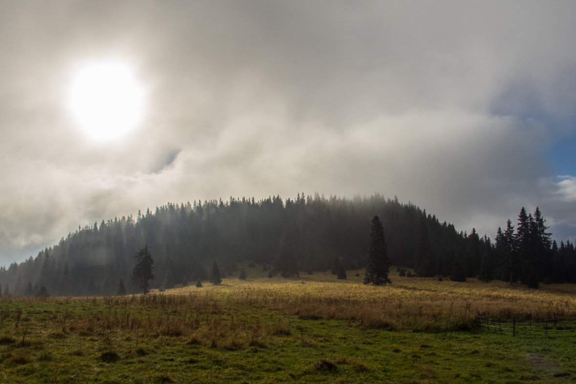 Veľký Choč z Valaskej Dubovej (Chočské vrchy)