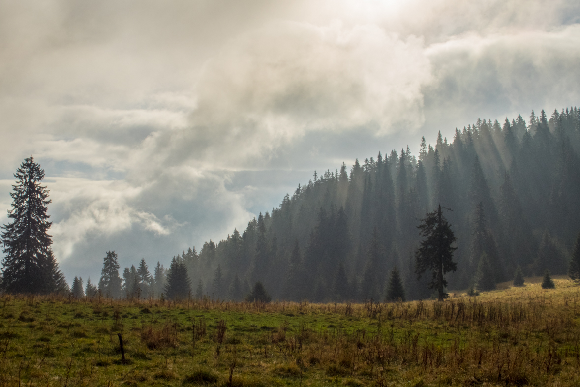 Veľký Choč z Valaskej Dubovej (Chočské vrchy)