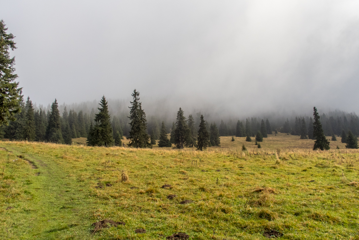 Veľký Choč z Valaskej Dubovej (Chočské vrchy)