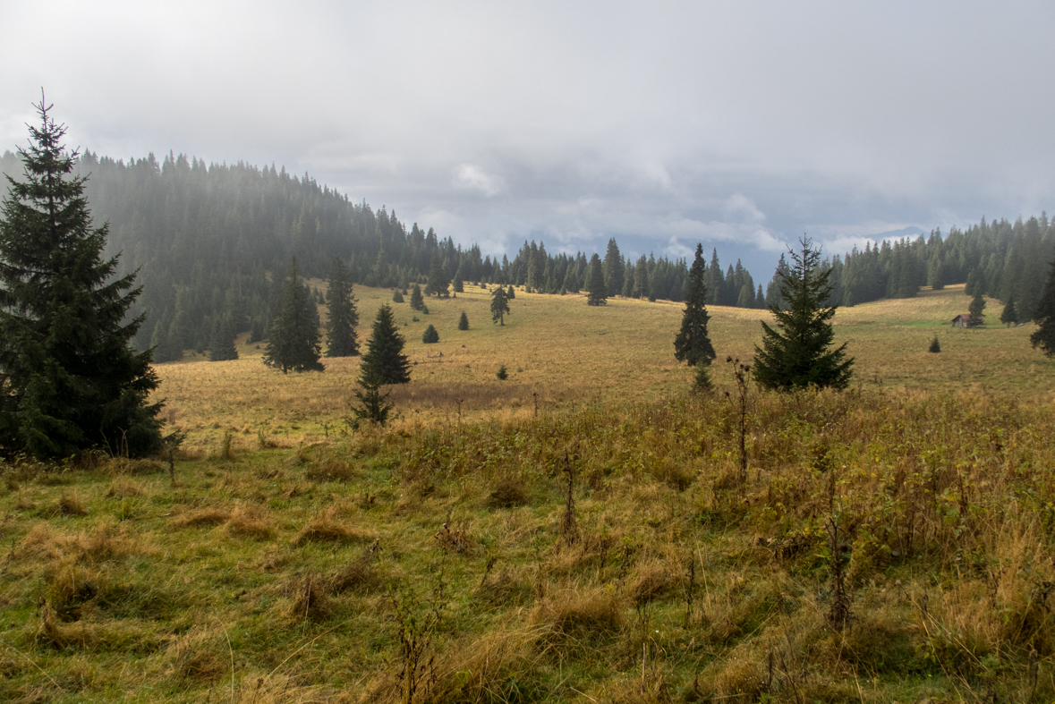 Veľký Choč z Valaskej Dubovej (Chočské vrchy)