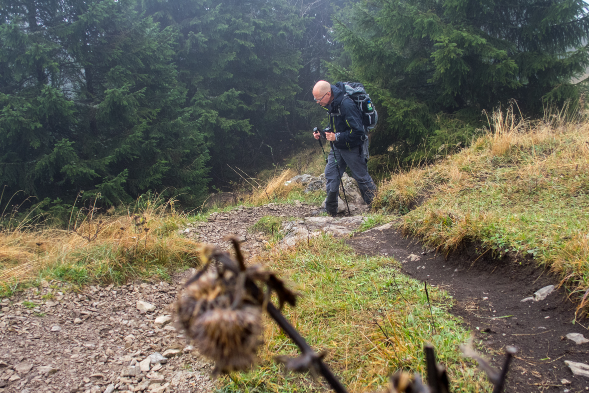 Veľký Choč z Valaskej Dubovej (Chočské vrchy)