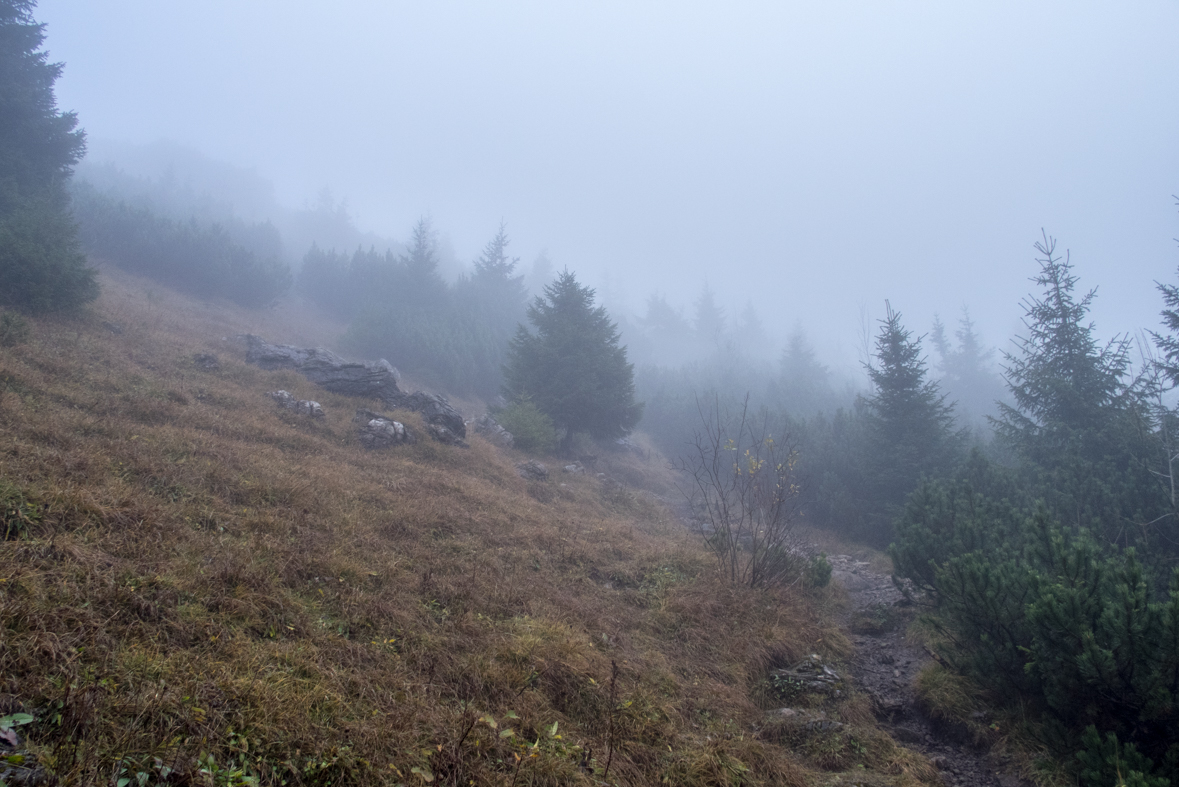 Veľký Choč z Valaskej Dubovej (Chočské vrchy)