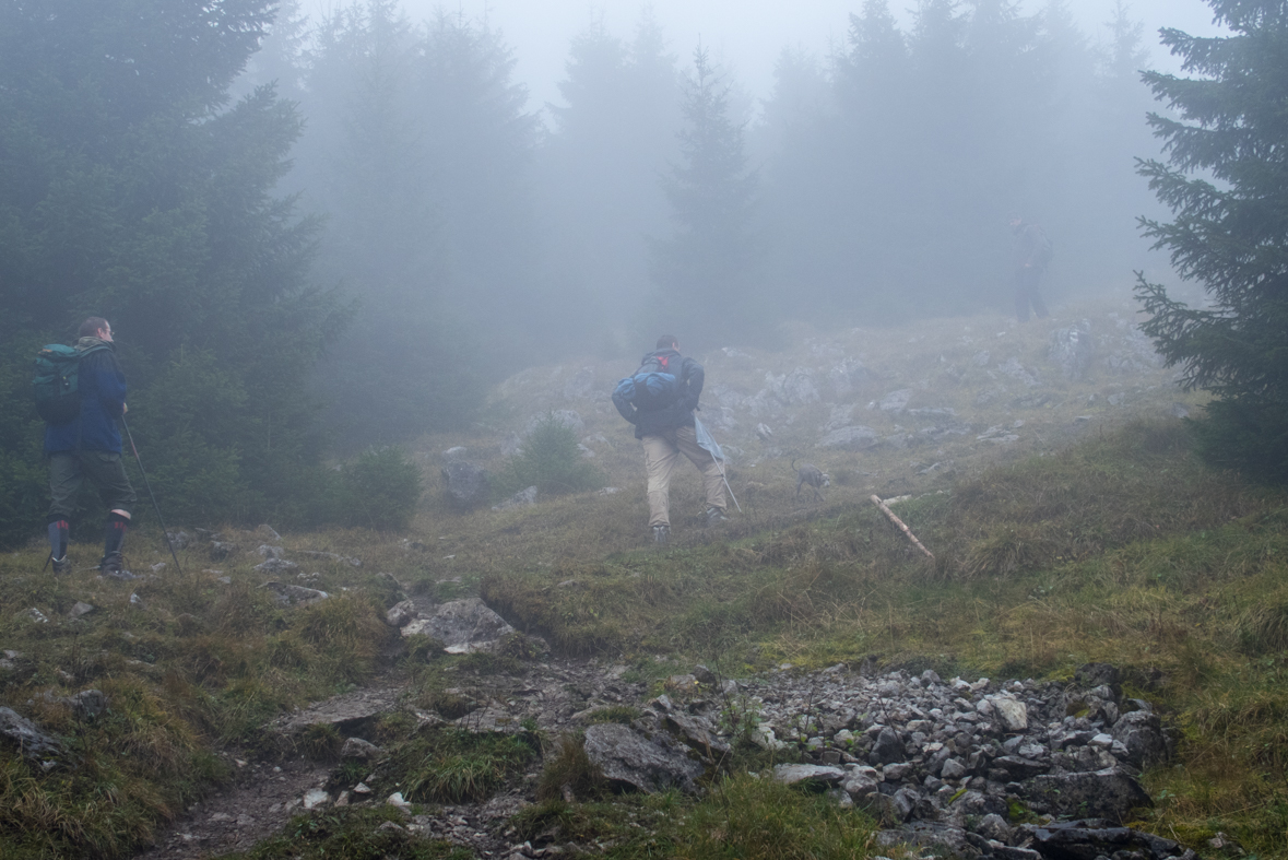 Veľký Choč z Valaskej Dubovej (Chočské vrchy)