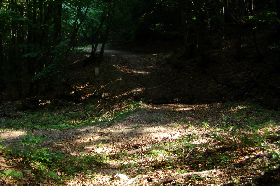 Veľký Milič zo Skároša (Slanské vrchy)