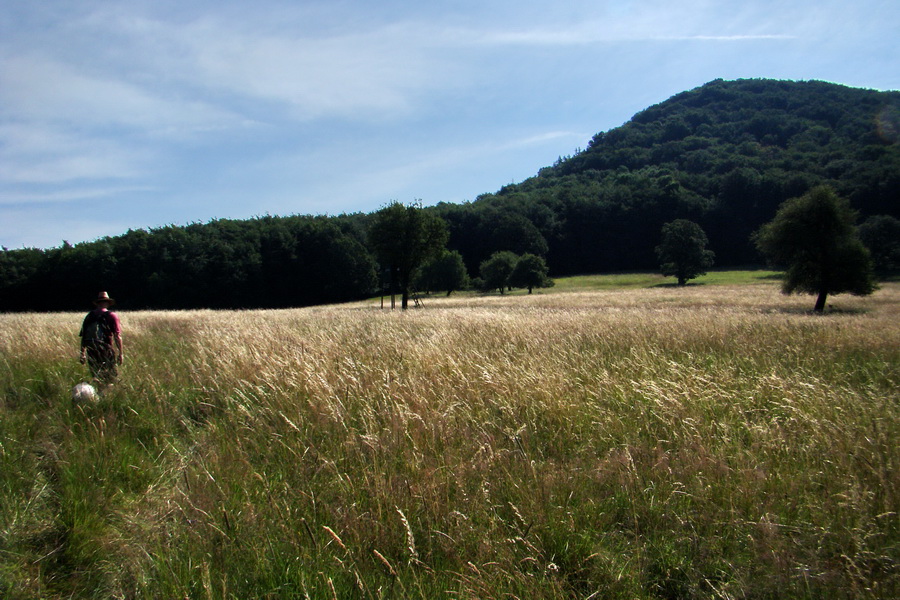 Veľký Milič zo Skároša (Slanské vrchy)