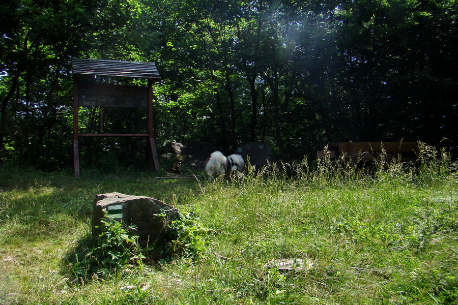 Veľký Milič zo Skároša (Slanské vrchy)