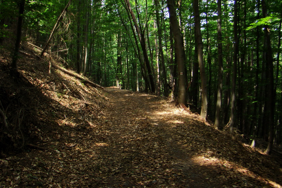 Veľký Milič zo Skároša (Slanské vrchy)