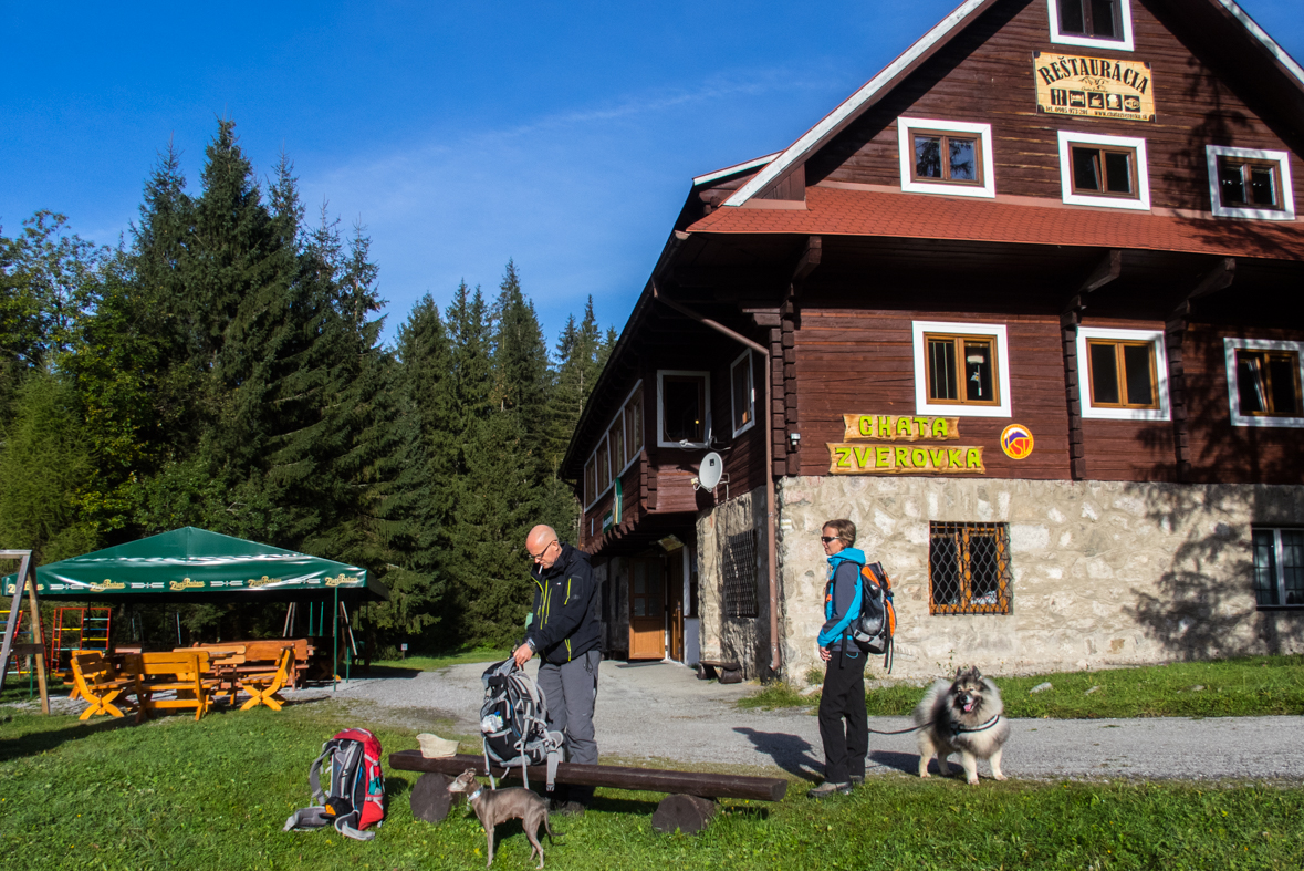 Volovec z chaty Zverovka (Západné Tatry)