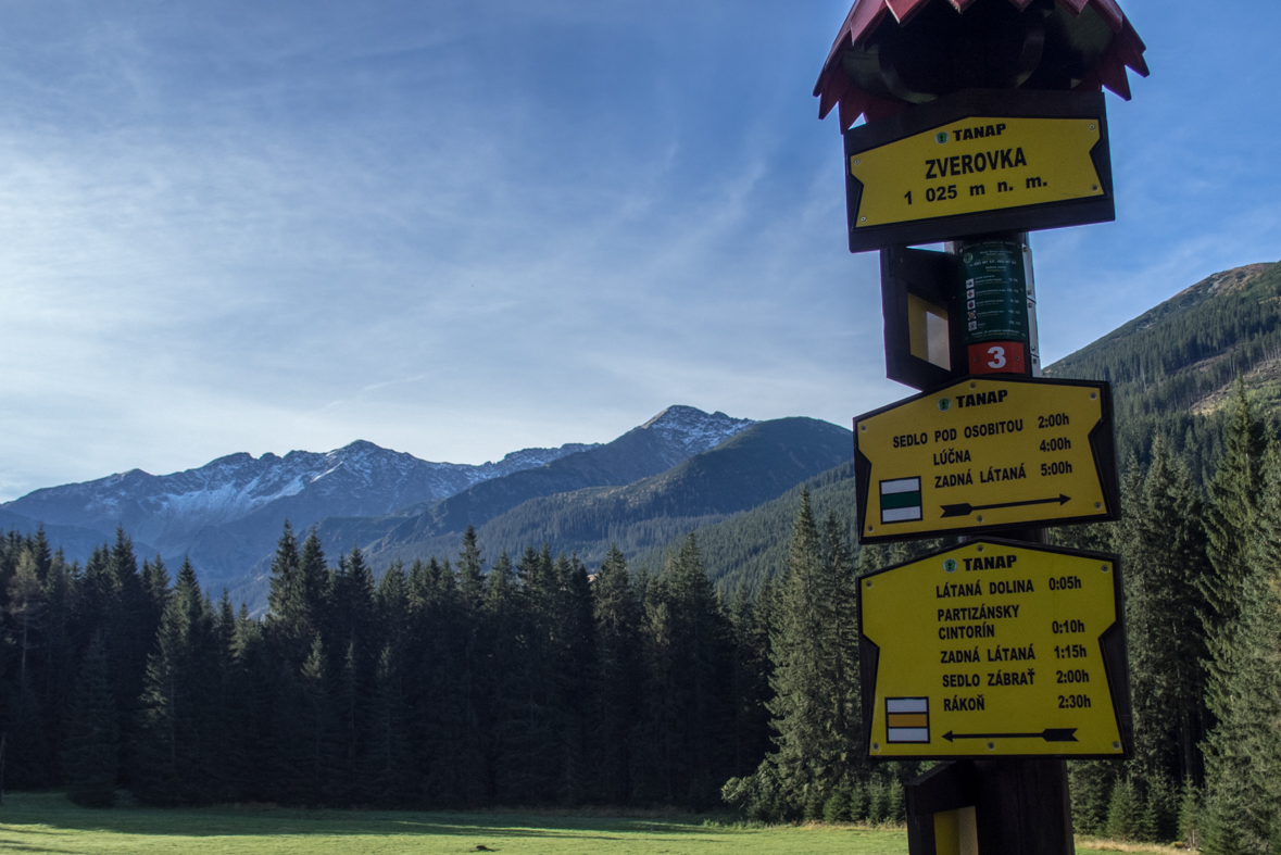 Volovec z chaty Zverovka (Západné Tatry)