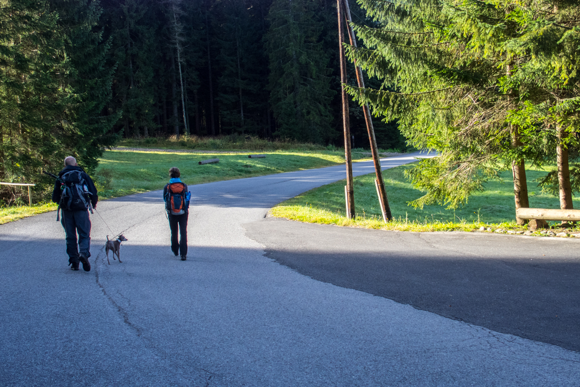 Volovec z chaty Zverovka (Západné Tatry)