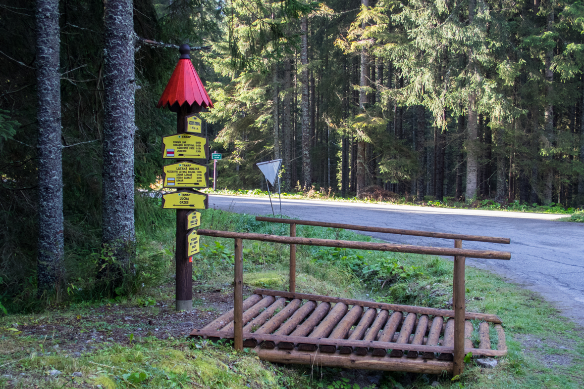 Volovec z chaty Zverovka (Západné Tatry)