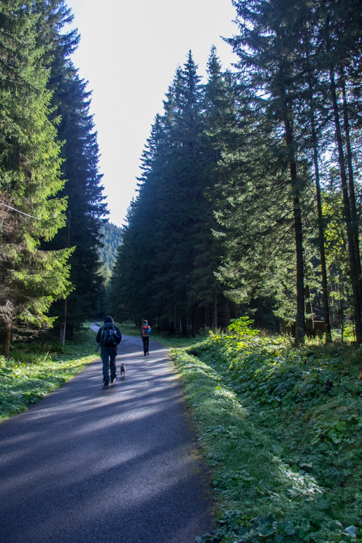 Volovec z chaty Zverovka (Západné Tatry)