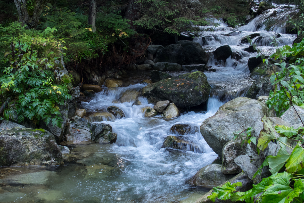 Volovec z chaty Zverovka (Západné Tatry)